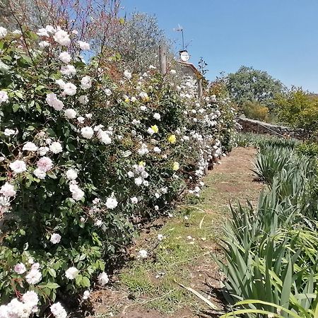Lirios Da Granja - Casa De Campo Dış mekan fotoğraf