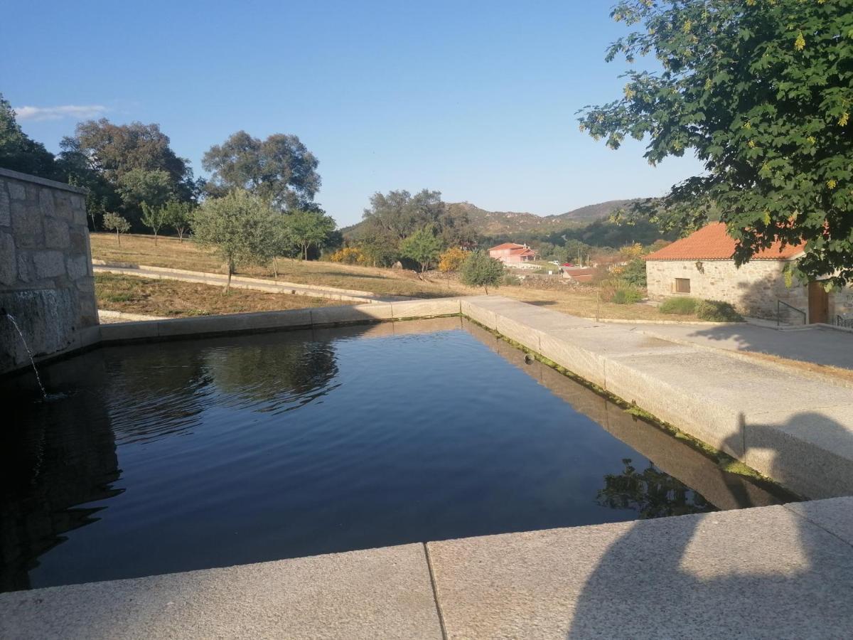 Lirios Da Granja - Casa De Campo Dış mekan fotoğraf