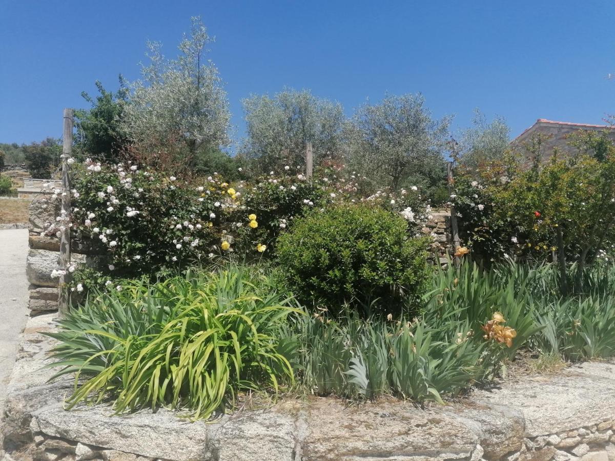 Lirios Da Granja - Casa De Campo Dış mekan fotoğraf
