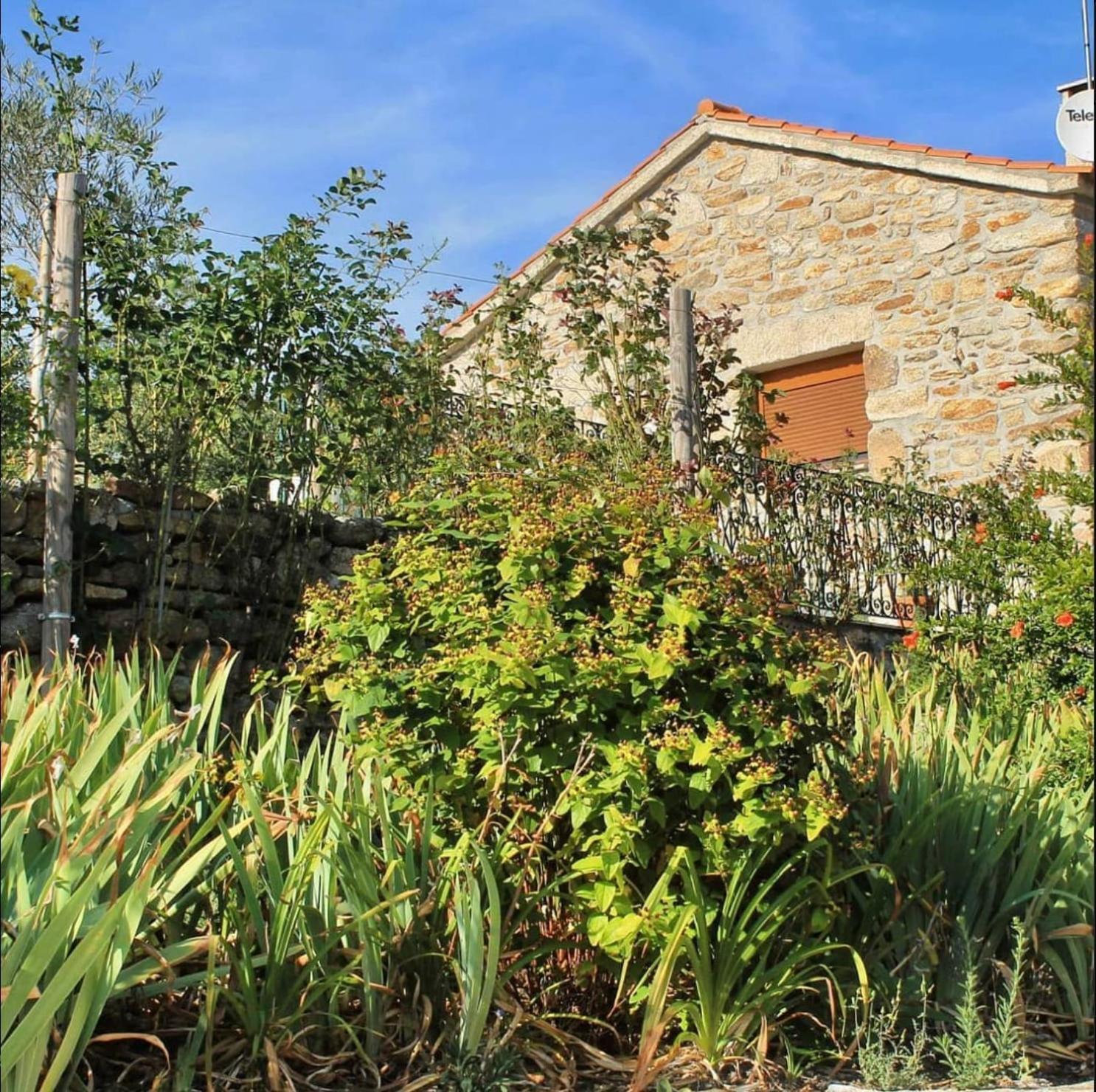 Lirios Da Granja - Casa De Campo Dış mekan fotoğraf
